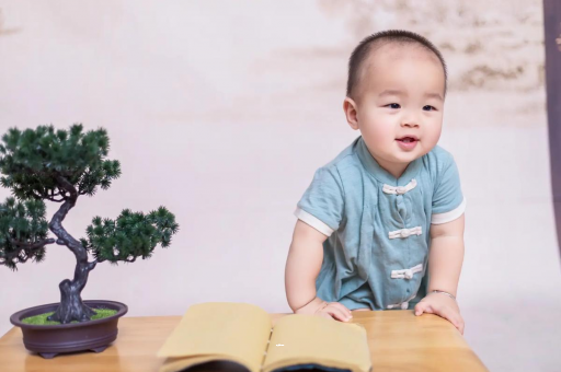 高密可爱的企鹅宝宝